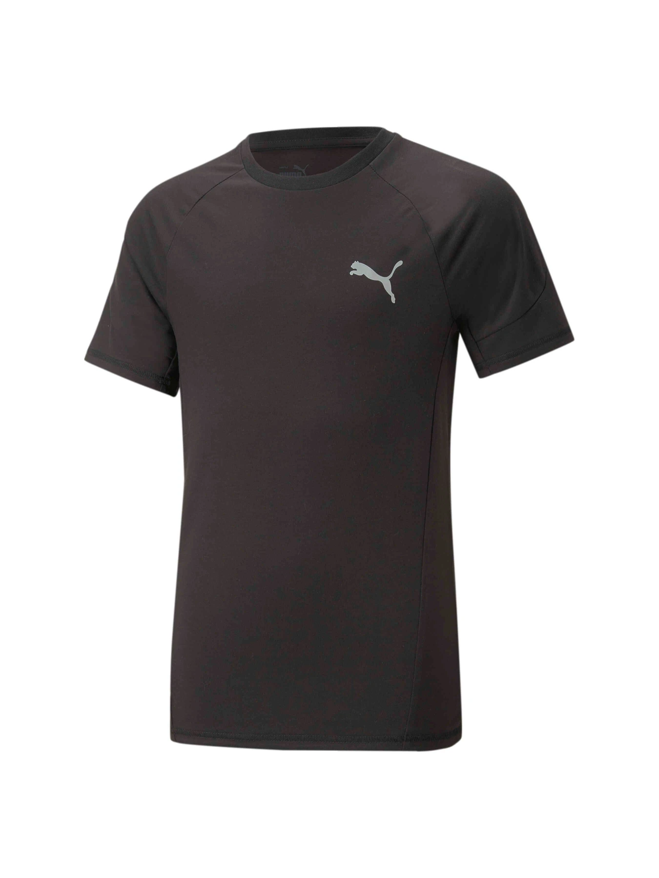 Футболки и поло PUMA Evostripe Tee модель 673187 Футболки и поло PUMA Evostripe Tee модель 673187 Фото