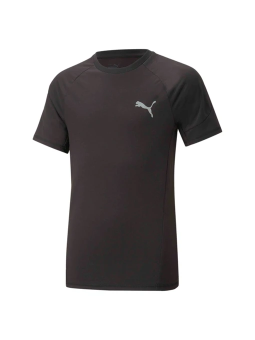 Футболки и поло PUMA Evostripe Tee модель 673187 Фото