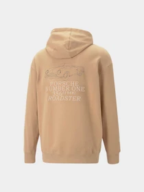 Худі та світшоти PUMA Pl Statement Hoodie модель 538890 Фото