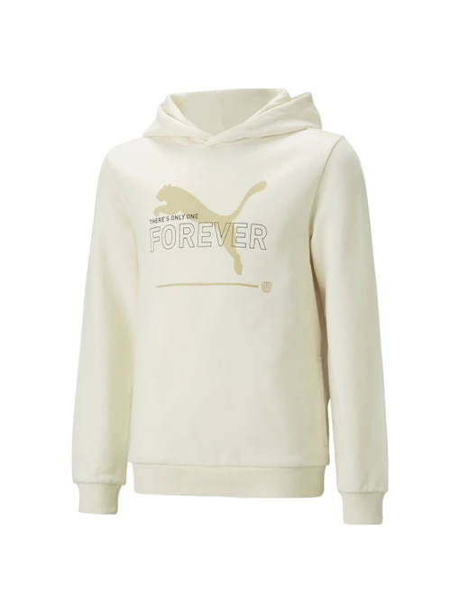 Худи и свитшоты PUMA Ess Better Hoodie модель 673659 Фото