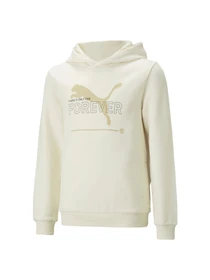 Худи и свитшоты PUMA Ess Better Hoodie модель 673659 Фото