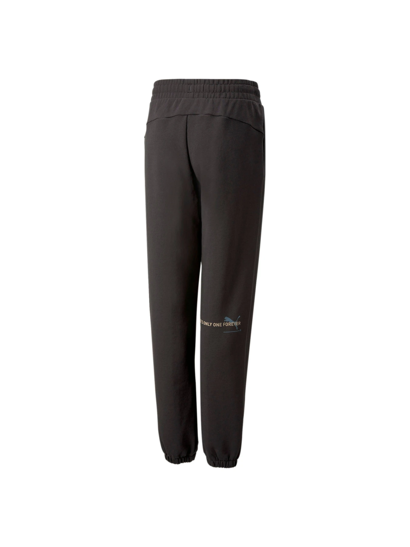 Брюки PUMA Ess Better Pants Tr Kids модель 673657 Фото