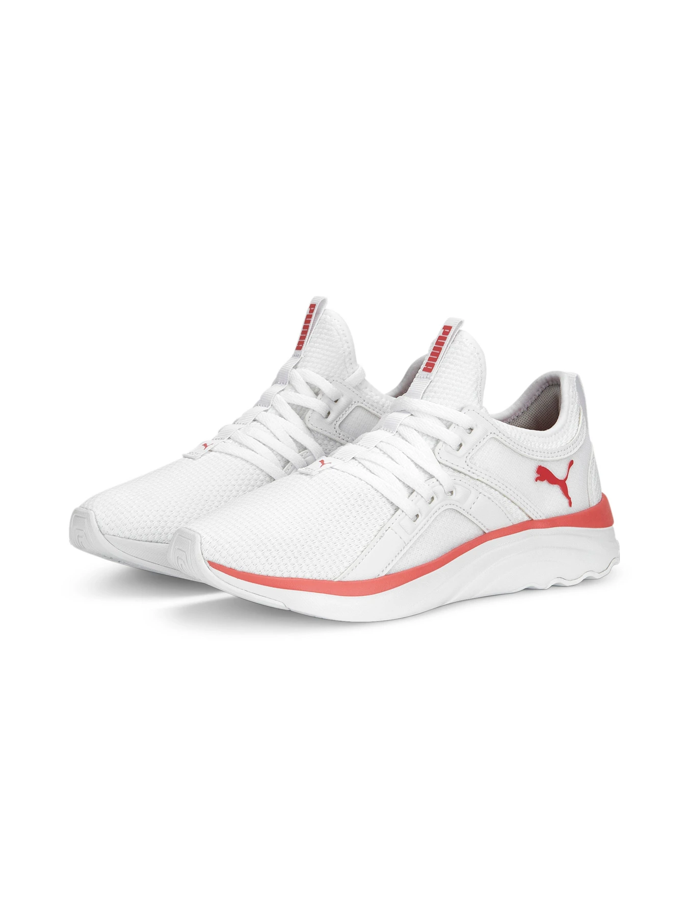 Кросівки PUMA Softride Sophia Wn s модель 194355 Кросівки PUMA Softride Sophia Wn s модель 194355 Фото
