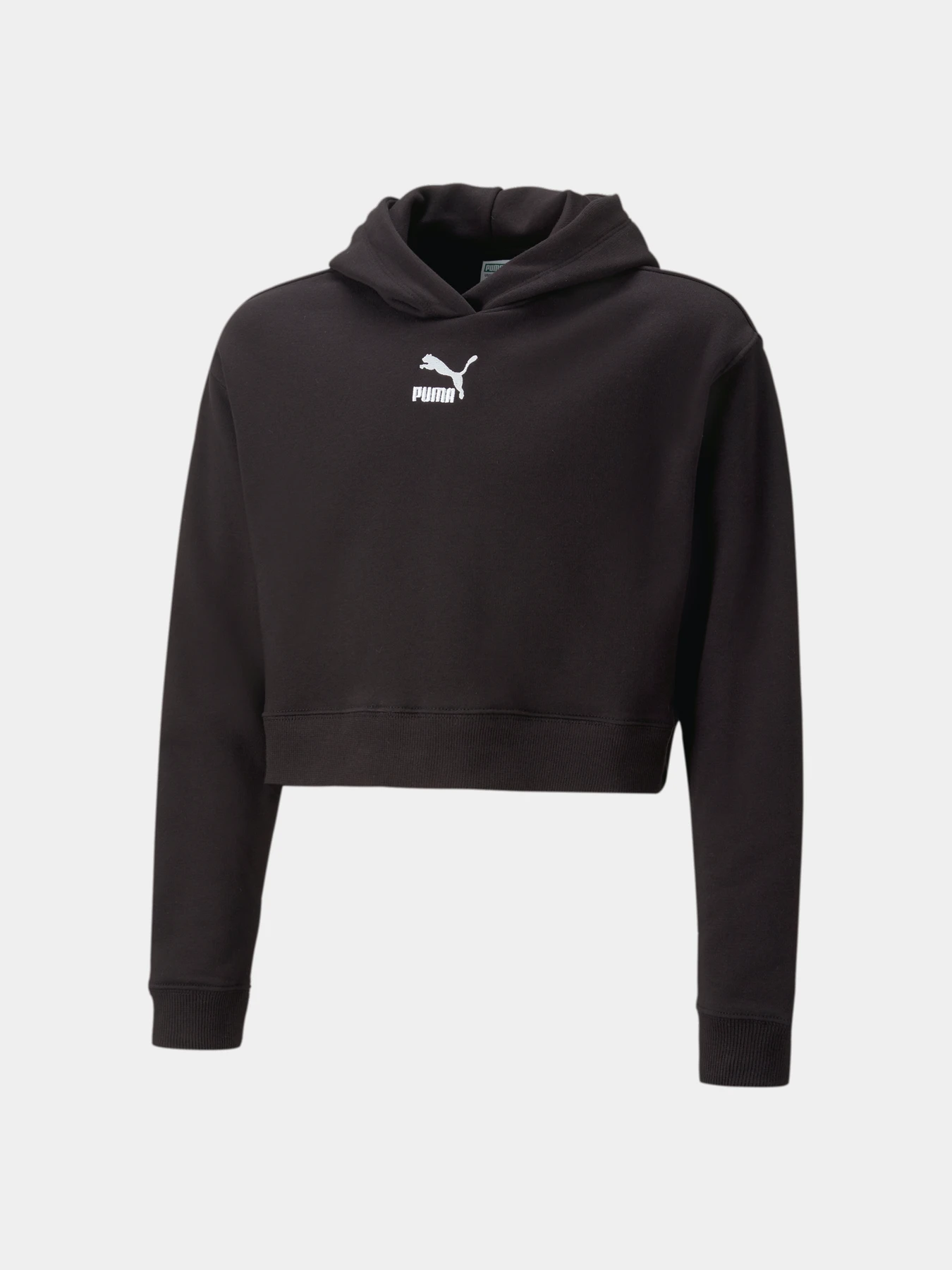 Худи и свитшоты PUMA Classics Hoodie модель 538681 Худи и свитшоты PUMA Classics Hoodie модель 538681 Фото