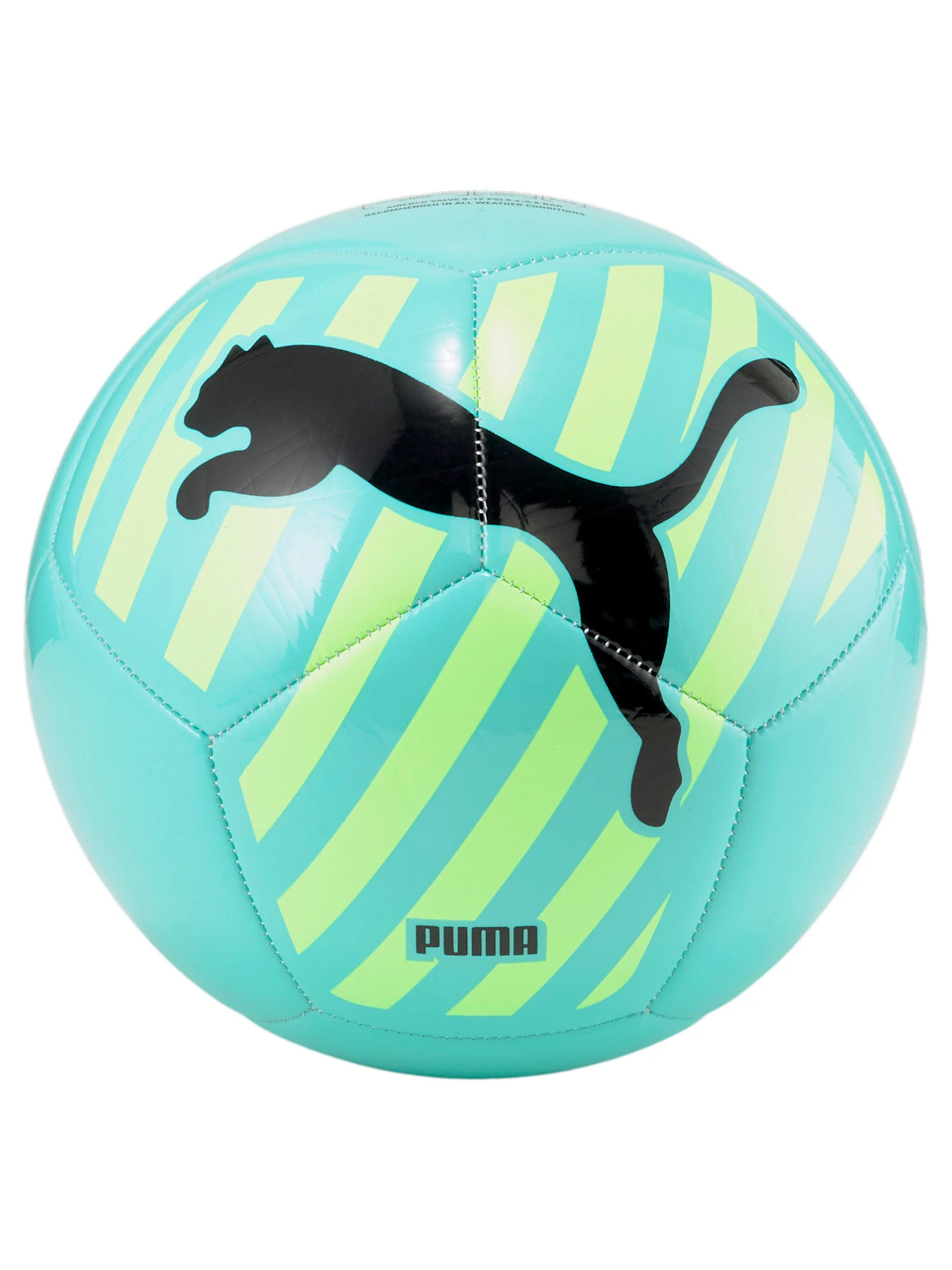 М'ячі PUMA BIG CAT ball модель 083994 Фото