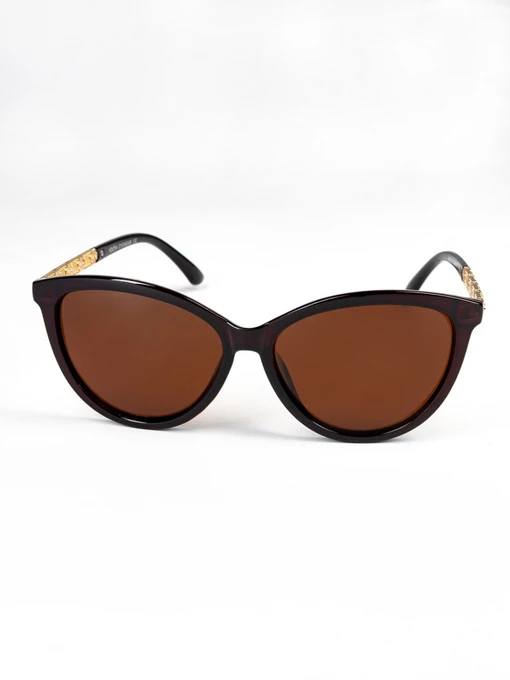 Очки ISSA Plus модель O1-67_brown Фото