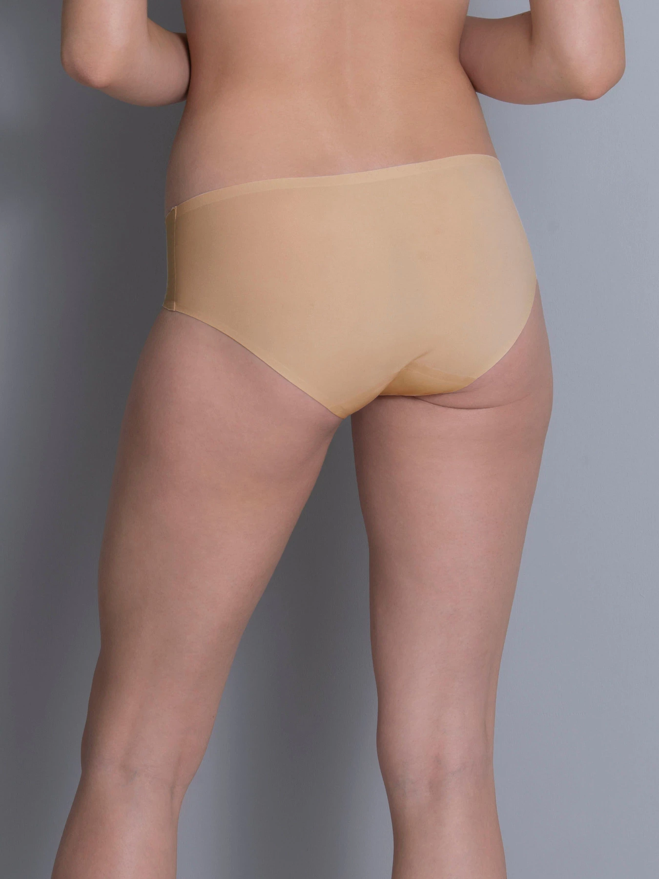 Нижнее белье Anita модель 1342Essentials_Desert Нижнее белье Anita модель 1342Essentials_Desert Фото