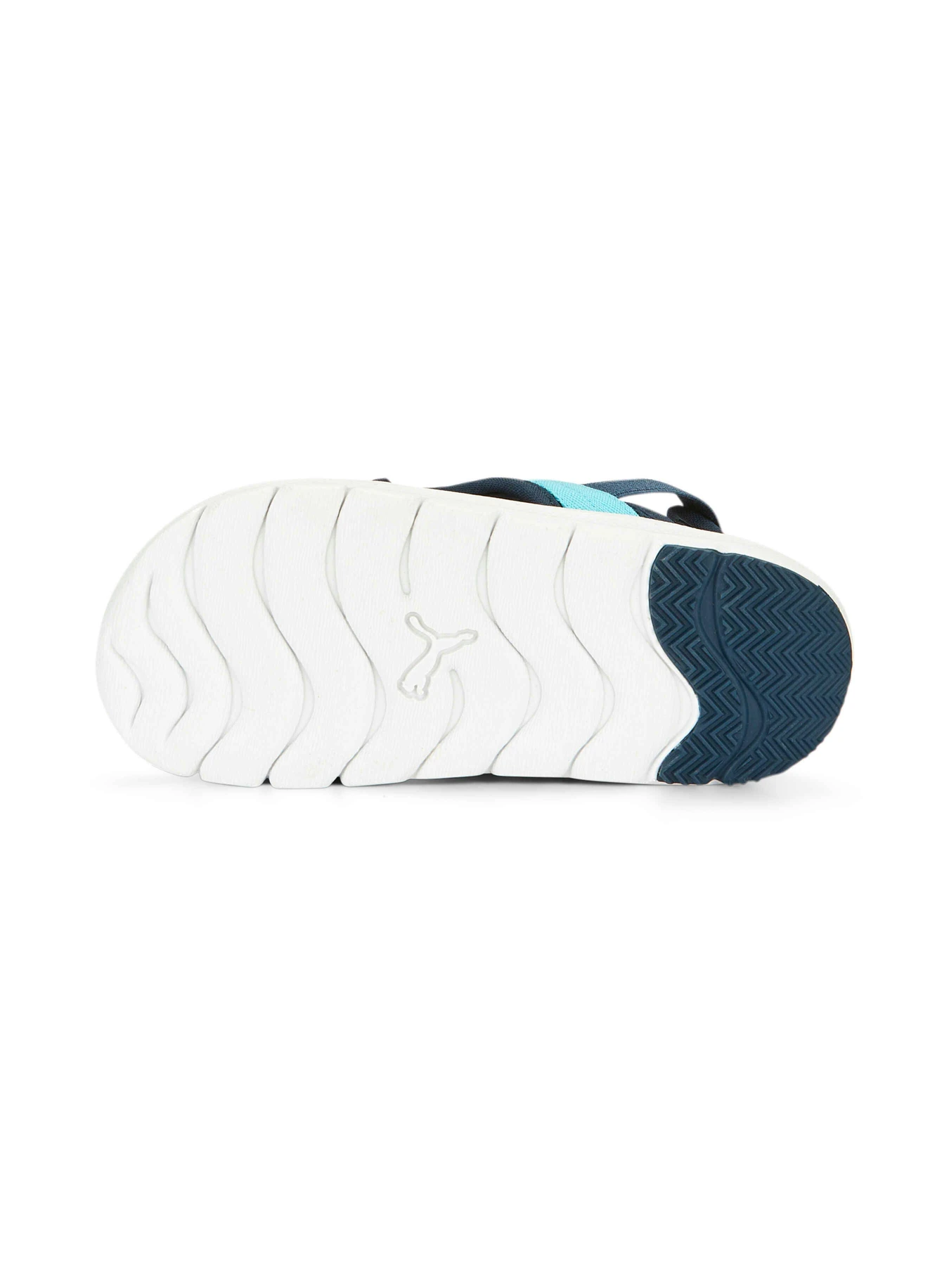 Сандалии PUMA Evolve Sandal Ps модель 389147 Фото