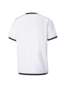Футболки и поло PUMA Teamliga Jersey Jr модель 704925 Фото