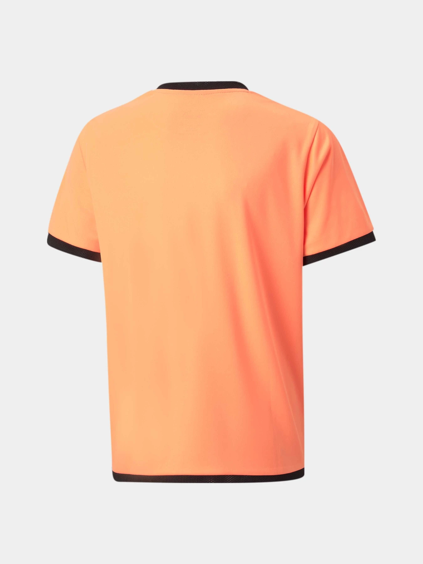 Футболки і поло PUMA Teamliga Jersey Jr модель 704925 Фото