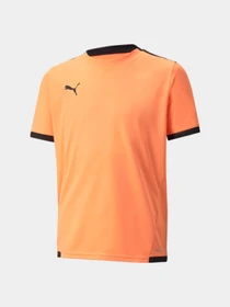 Футболки і поло PUMA Teamliga Jersey Jr модель 704925 Фото
