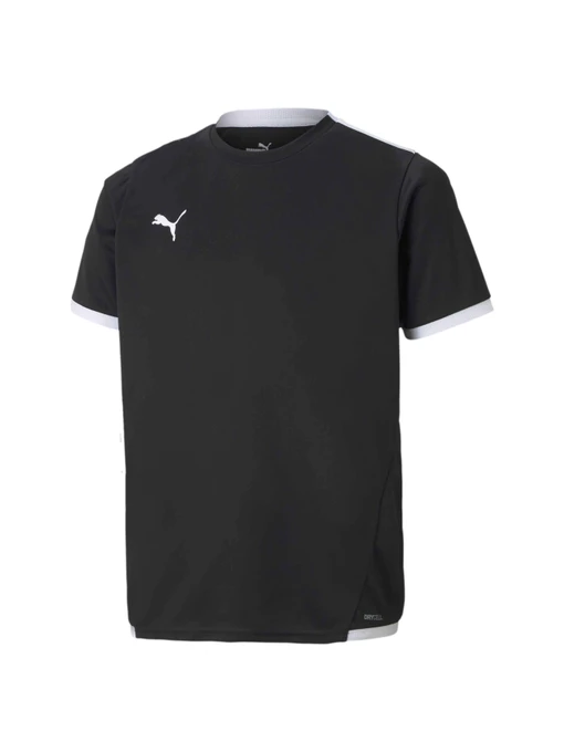 Футболки и поло PUMA Teamliga Jersey Jr модель 704925 Фото