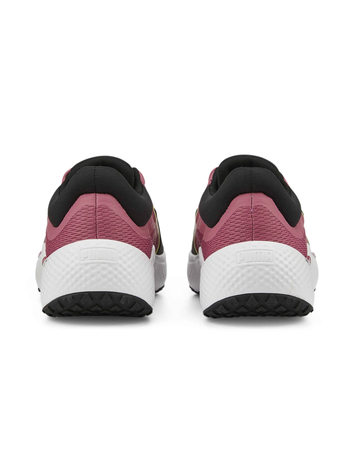 Кросівки PUMA Softride Pro Coast модель 377059 Кросівки PUMA Softride Pro Coast модель 377059 Фото