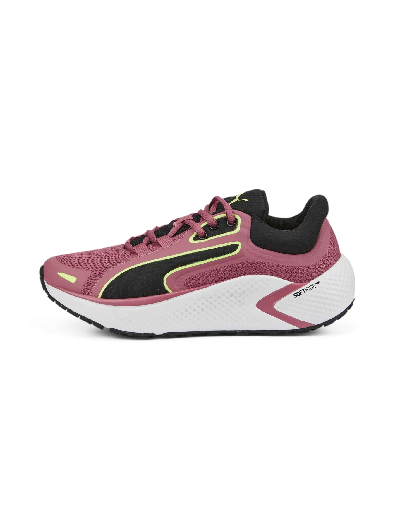 Кросівки PUMA Softride Pro Coast модель 377059 Кросівки PUMA Softride Pro Coast модель 377059 Фото