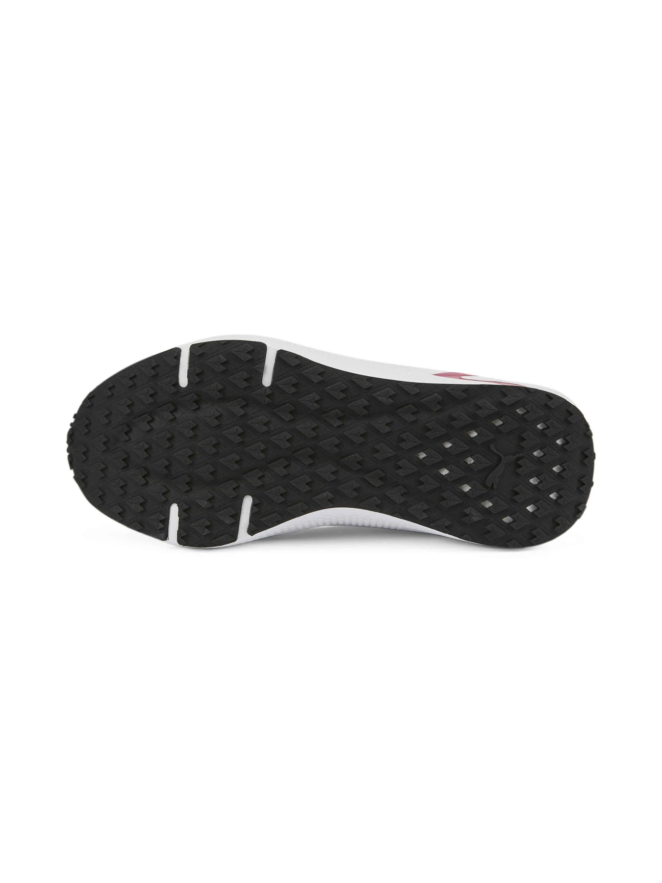 Кросівки PUMA Softride Pro Coast модель 377059 Кросівки PUMA Softride Pro Coast модель 377059 Фото