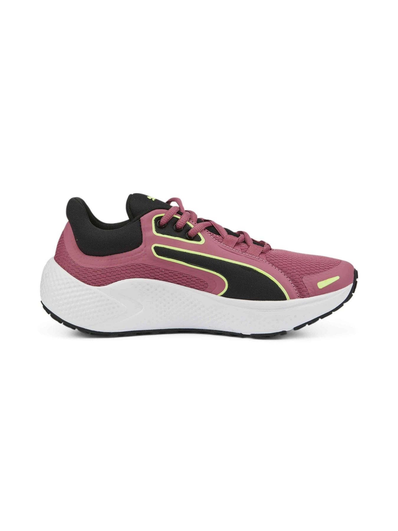 Кросівки PUMA Softride Pro Coast модель 377059 Кросівки PUMA Softride Pro Coast модель 377059 Фото