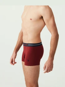 Нижня білизна US Polo модель US.01.80328.VR034 Фото
