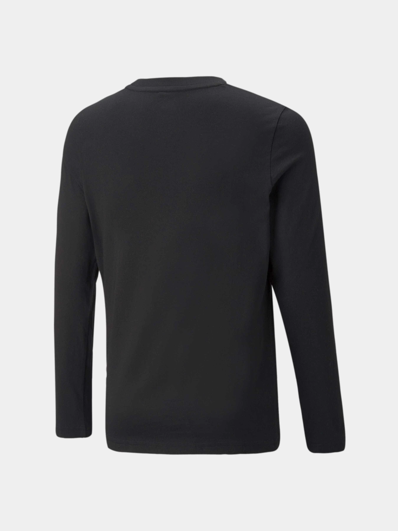 Худи и свитшоты PUMA Active Sports Longsleeve модель 670073 Худи и свитшоты PUMA Active Sports Longsleeve модель 670073 Фото