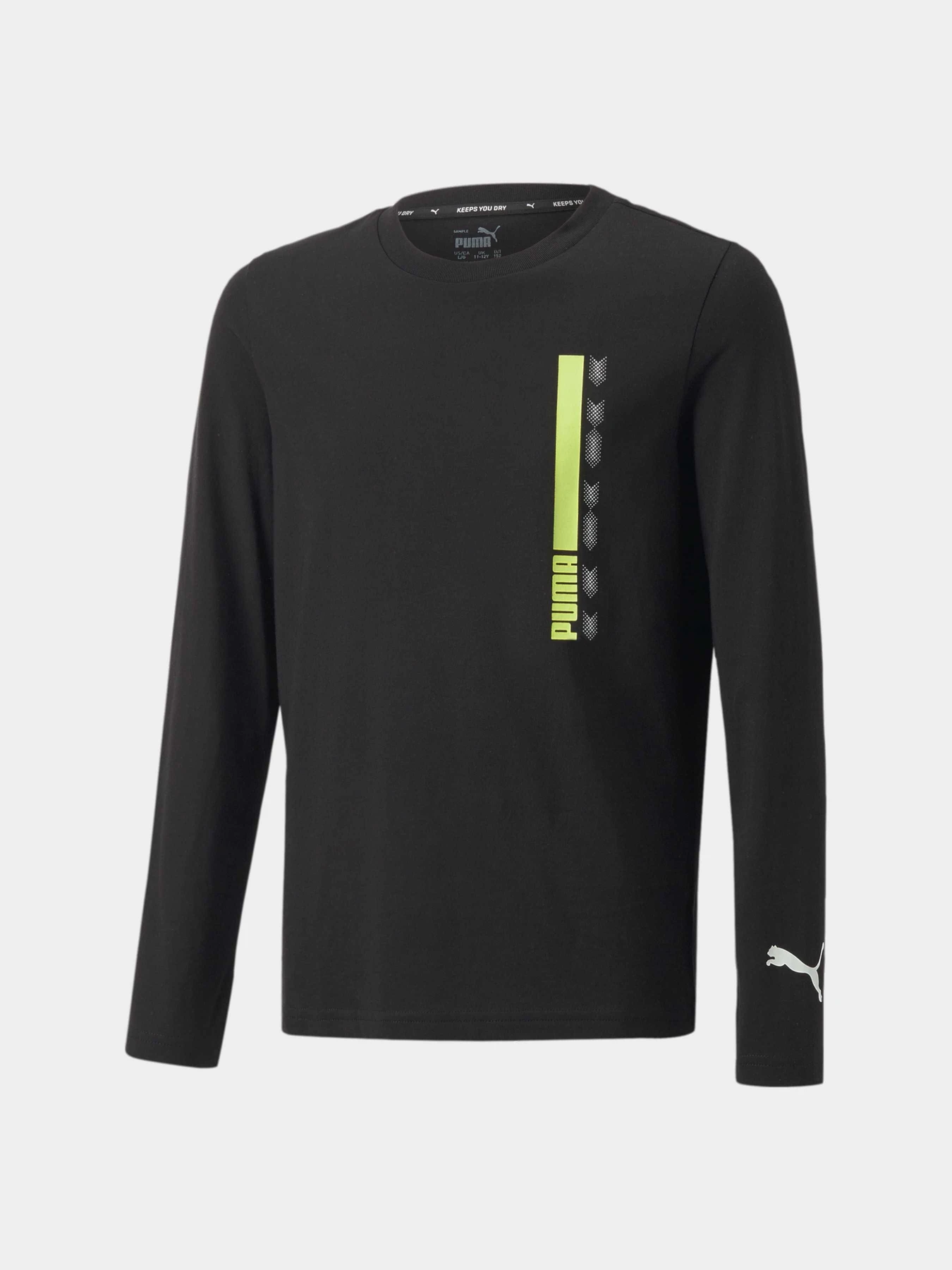 Худи и свитшоты PUMA Active Sports Longsleeve модель 670073 Худи и свитшоты PUMA Active Sports Longsleeve модель 670073 Фото