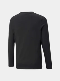 Худи и свитшоты PUMA Active Sports Longsleeve модель 670073 Фото