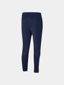 Брюки PUMA Teamliga Training Pants модель 657242 Фото