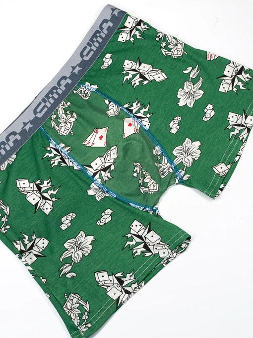 Нижнее белье ISSA Plus модель GN5-187_green Фото
