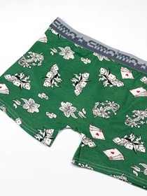Нижнее белье ISSA Plus модель GN5-187_green Фото