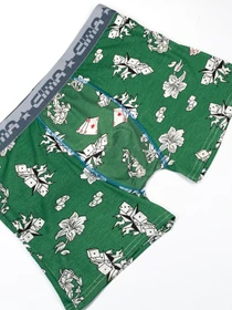 Нижнее белье ISSA Plus модель GN5-187_green Фото