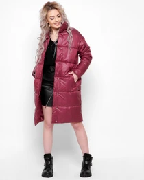 Куртки и дубленки X-Woyz модель LS889016 Фото