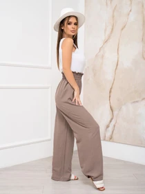 Штани ISSA Plus модель 13939_brown Фото