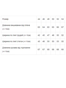 Вышиванки Носи своє модель 8607-015-22-blakitnij Фото