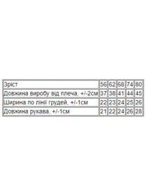 Одежда для младенцев Носи своє модель 5010-008-33-5-blij-kic Фото