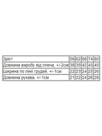 Одяг для немовлят Носи своє модель 5010-008-5-blij Фото