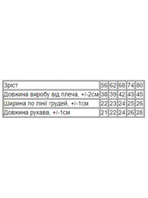 Одяг для немовлят Носи своє модель 5010-008-33-4-bryuzovij-vedmediki Фото