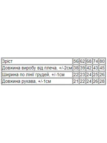 Одяг для немовлят Носи своє модель 5010-008-33-4-blakitnij-vedmediki Фото