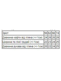 Худі та світшоти Носи своє модель 5036-024-5-serdechka-foletovij Фото