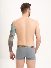 Нижня білизна ISSA Plus модель GN5-199_grey Фото