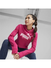 Худі та світшоти PUMA Ess Logo Hoodie модель 586797 Фото