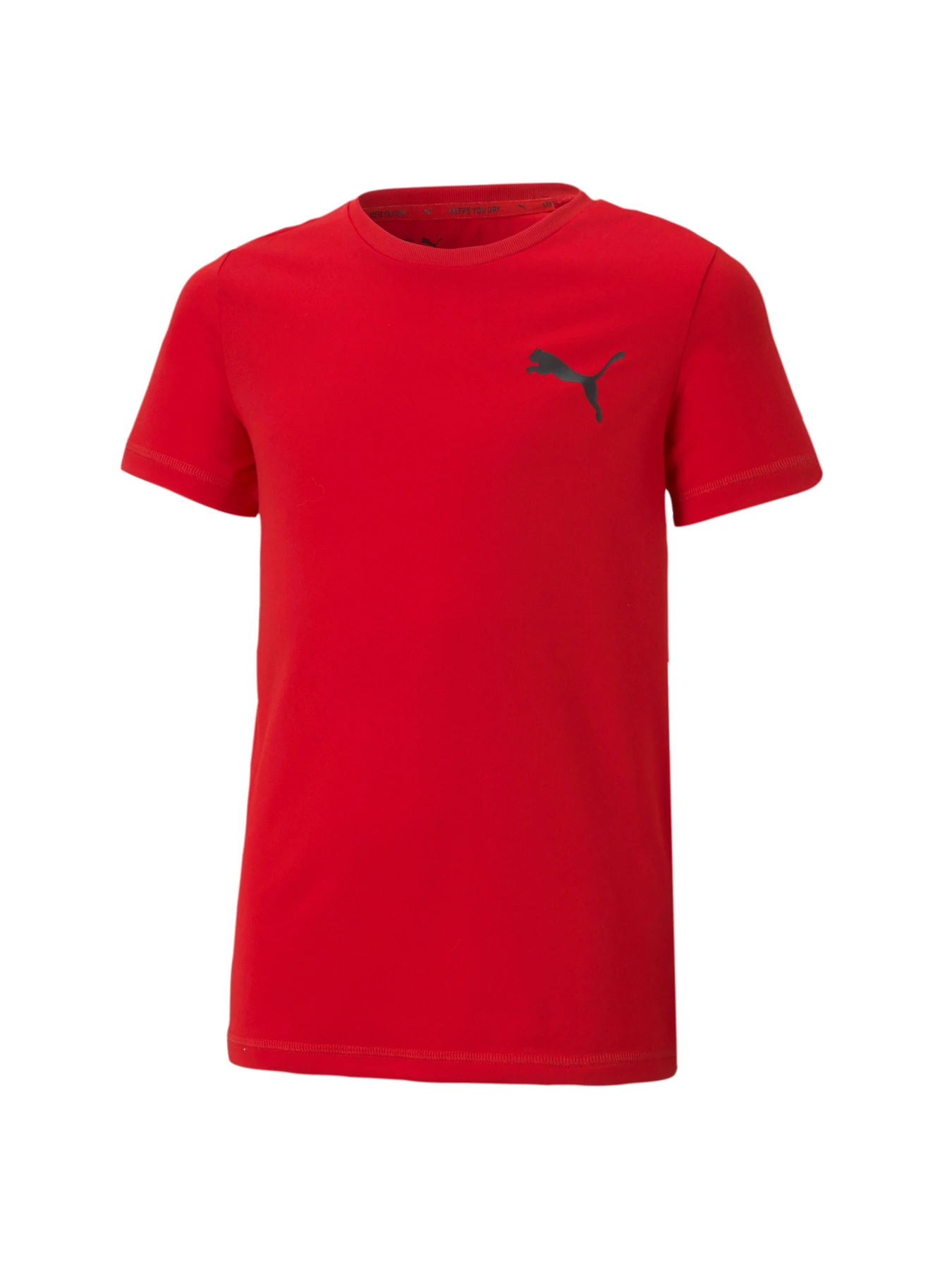 Футболки и поло PUMA ACTIVE Small Logo Tee модель 586980 Футболки и поло PUMA ACTIVE Small Logo Tee модель 586980 Фото