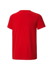 Футболки и поло PUMA ACTIVE Small Logo Tee модель 586980 Фото