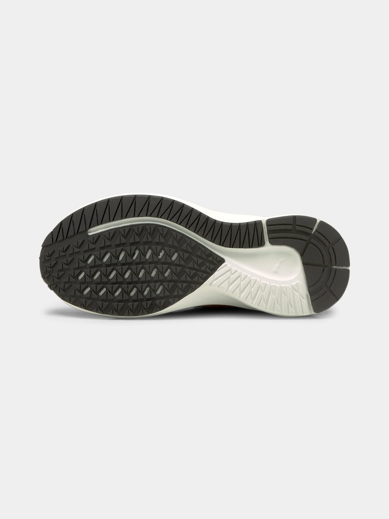 Кроссовки PUMA Aviator Wtr модель 195506 Кроссовки PUMA Aviator Wtr модель 195506 Фото