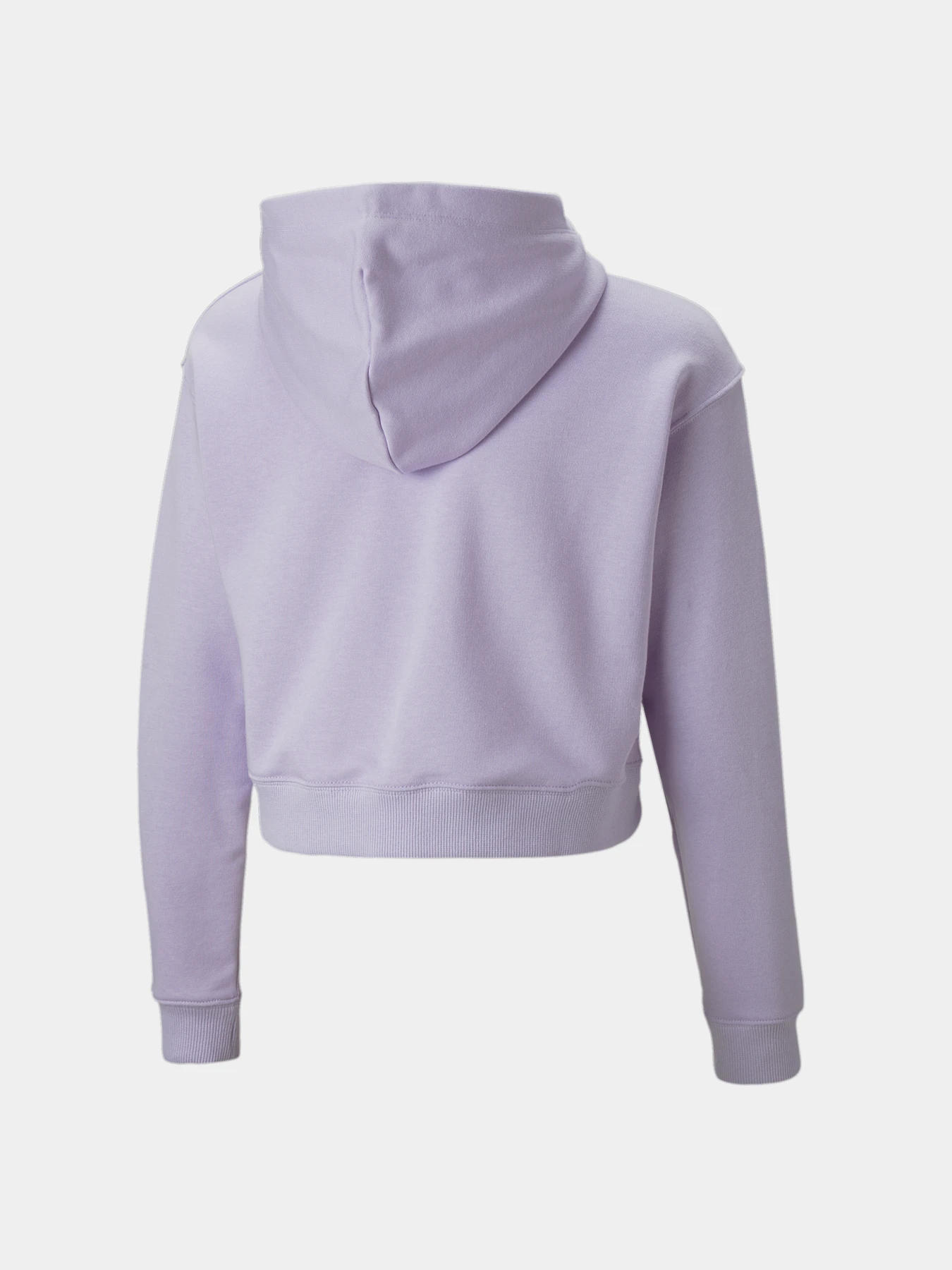 Худи и свитшоты PUMA Classics Hoodie модель 538681 Худи и свитшоты PUMA Classics Hoodie модель 538681 Фото