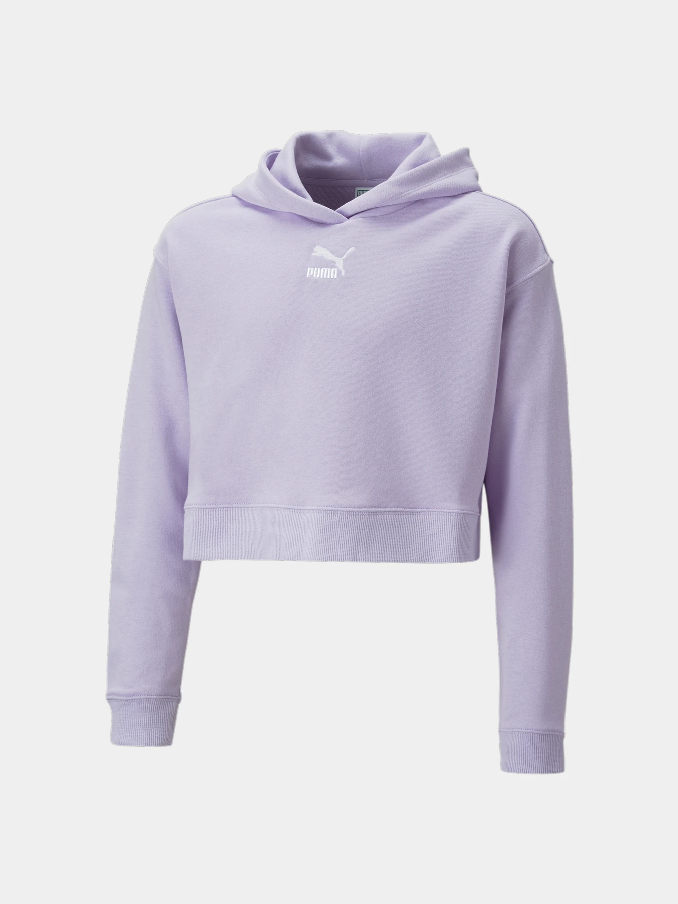 Худи и свитшоты PUMA Classics Hoodie модель 538681 Худи и свитшоты PUMA Classics Hoodie модель 538681 Фото