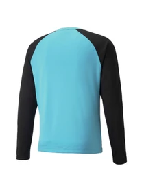 Худі та світшоти PUMA Teampacer Gk Ls Jersey модель 704933 Фото