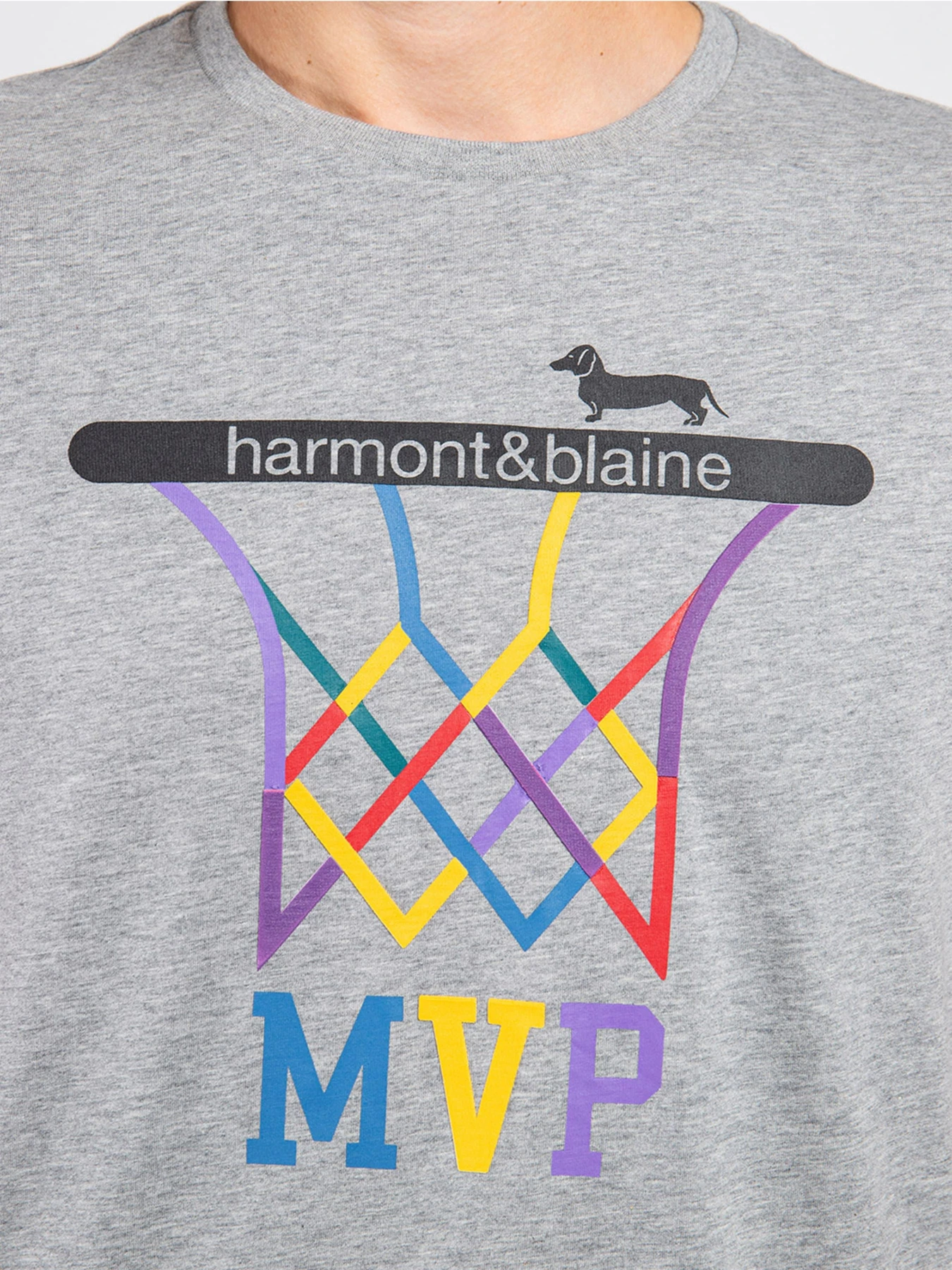 Футболки и поло Harmont&Blaine модель IRI183021199_903 Фото