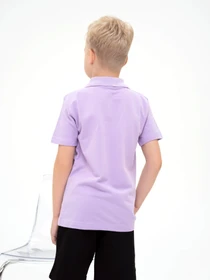 Футболки и поло ISSA Plus модель GCD1-01_lilac Фото