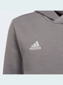 Худи и свитшоты Adidas модель H57515 Фото