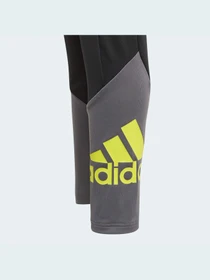 Брюки Adidas модель GN1439 Фото