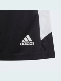 Шорти Adidas Condivo модель HA6282 Фото