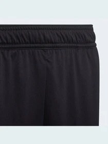 Шорти Adidas Condivo модель HA6282 Фото
